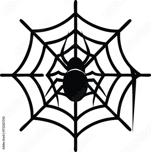 spider on web silhouette