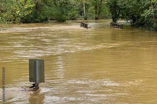 Slika na platnu Local creek overflows from Hurricane Helene floodwaters
