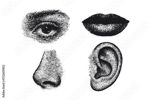 Retro photostyle female face parts collection with eye, mouth, nose, and ear in grunge punk messy texture, trendy Y2K aesthetic vector illustration for vintage design and alternative fashion
