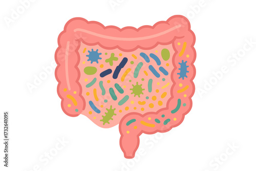 Intestinal Gut Microbiome with Probiotic and Healthy Bacteria. Human Digestive Tract Microbiota, Microorganism Colonies, Abstract Medical, Microbiology, Flat Vector, Health Care Concept
