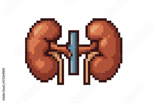 Kidneys pixel art icon. Human internal organ in retro 8-bit video game style. Anatomy vector illustration for medicine, nephrology, urology. Healthcare, biology symbol.