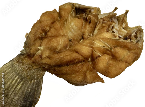 Thai style golden deep fried whole fish isolated