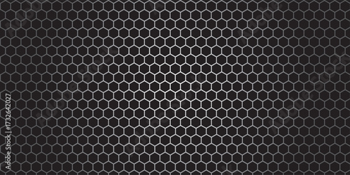 Wallpaper Mural Detailed Dark Gray Hexagonal Mesh Pattern with Geometric Design. Torontodigital.ca