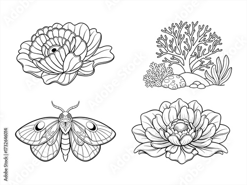 coloring page line art the flower black vector bundle