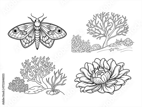 coloring page line art the flower black vector bundle