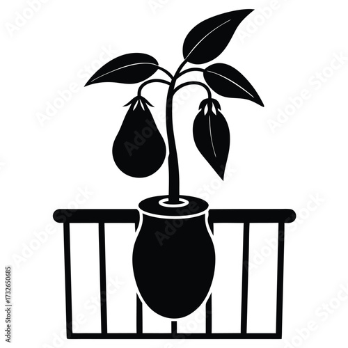 eggplant tree in a pot on a balcony