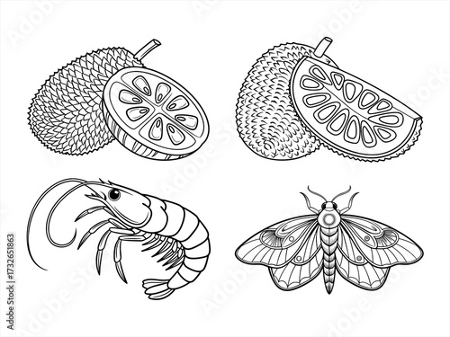 coloring page line art the moth black vector bundle