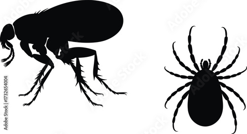 Flea and tick silhouettes, parasitic insects illustration, black and white design, arthropod comparison, disease carriers, veterinary concept, pest control, medical entomology