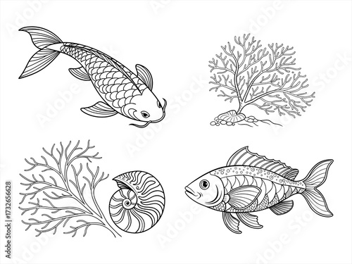 coloring page line art the sea fan black vector bundle