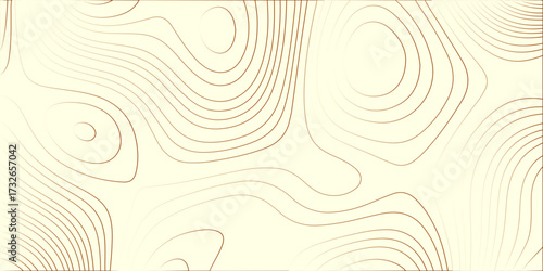The stylized height of the topographic map contour. Geographic topographic map grid. topographic line. he concept of a conditional geography scheme. White wave paper curved reliefs abstract. Sea Abyss