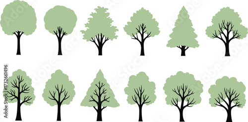Stylized seasonal tree set, full canopy and bare branches, foliage transformation, nature illustration, botanical diversity, vector design, educational tree graphic