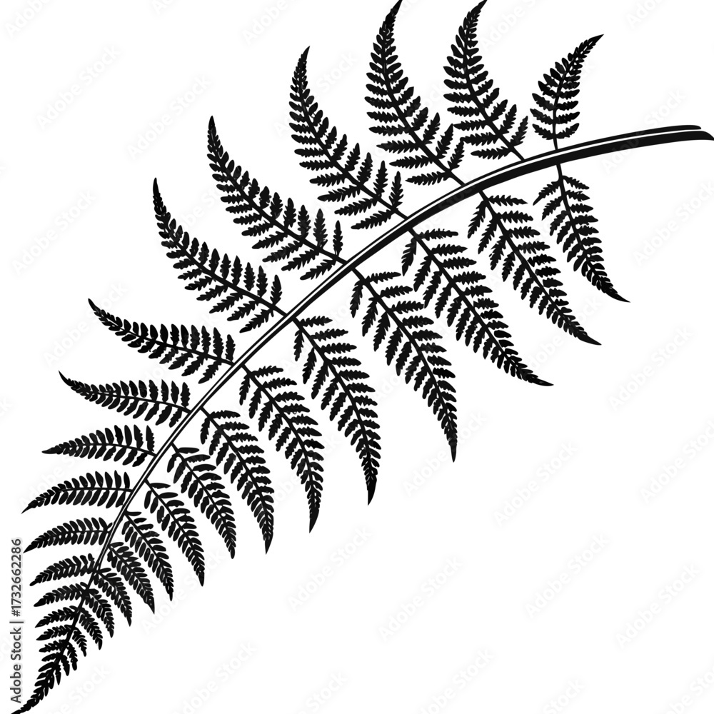 Naklejka premium fern leaf isolated on white