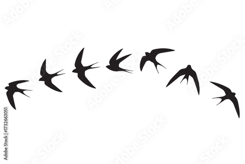 Silhouette of a flock of swallows in flight, creating a graceful arc against a transparent background world tourism day design