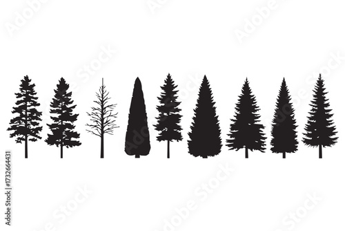 Silhouettes of various coniferous trees, including pine and fir, isolated on transparent background world tourism day design