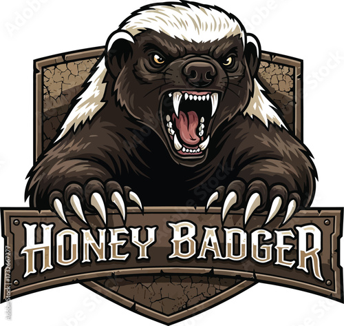 Fierce honey badger illustration, aggressive animal with sharp claws
