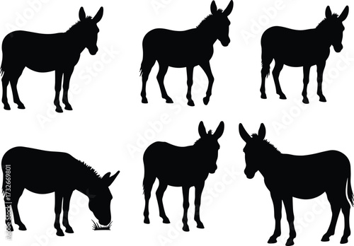 Collection of donkey silhouette vector illustrations showing different standing, walking, and grazing poses for farm animal, agriculture, and rural design themes.