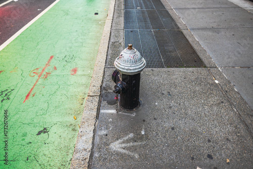 Canvas Print Close up view of fire hydrant on background of green bike lane and concrete sidewalk in city street