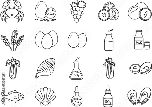 Food allergy icons, allergen symbols vector, seafood allergy illustration, milk intolerance icon, nut allergy signs, gluten free symbol, egg allergy design