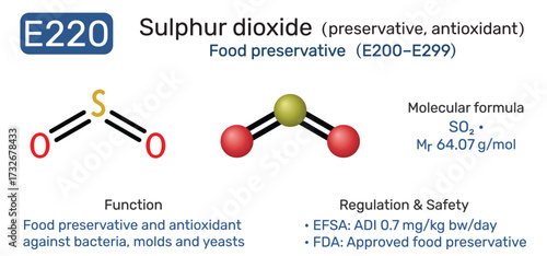 E220 sulphur dioxide molecule food additive. Food preservative and antioxidant. Vector illustration