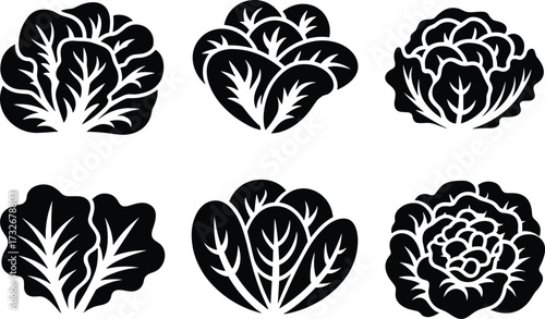 Black and white leafy vegetable illustrations, stylized lettuce and cabbage icons, botanical leaf patterns, symmetrical design, culinary, organic, healthy food