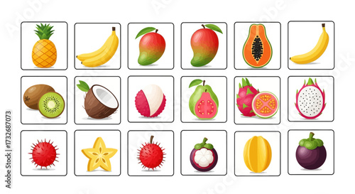 Collection of various tropical fruits arranged in a grid pattern for display.