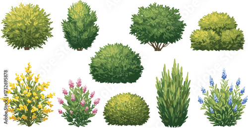 Bush and shrub illustration set, cartoon garden plants, colorful foliage icons, landscaping clipart pack, nature design elements, vector hedge graphics, outdoor assets