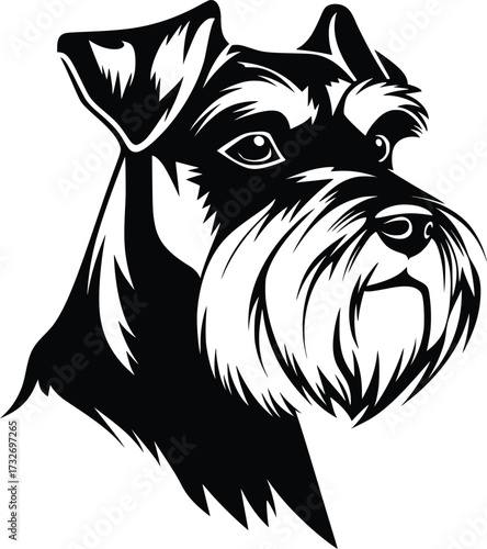 Standard Schnauzer head silhouette with beard, bushy eyebrows, and erect ears in black vector