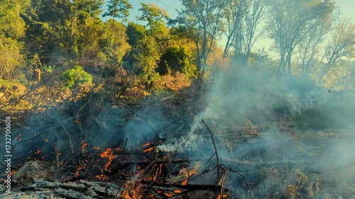 A fire smolders in an autumn forest.
