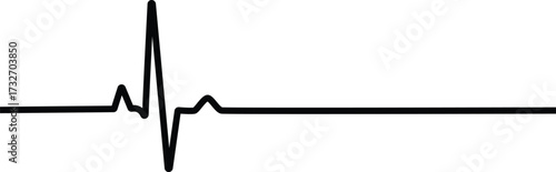 Ecg vector on heart beat. Black heartbeat line icon. vector illustration ecg file  [Converted].eps