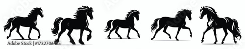 vector black and white silhouette of a horse