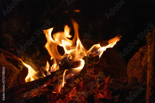 Close-up of campfire flames burning wood at night