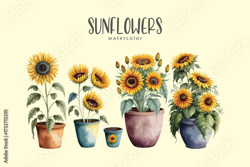 Sunflowers in pot set collection , watercolor in isolated background