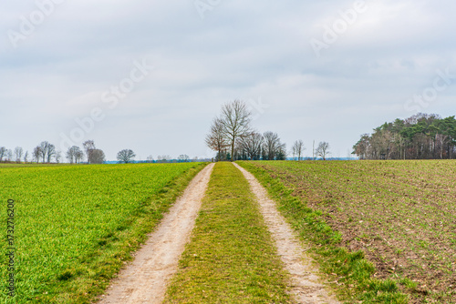 Country road in field. Country road to village. Straight country way and field nature. Rural road through farmland. Rural way to village in countryside. Dirt road in countryside. Rural life