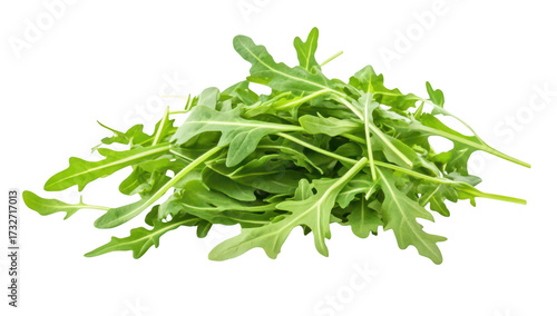 Fresh arugula leaves piled together on a clean white background. their green color and unique shape. ideal for culinary use in salads and garnishes