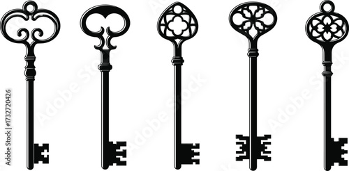 Vintage skeleton keys collection, antique ornate keys, decorative metal key set, retro locksmith tools, collectible old keys