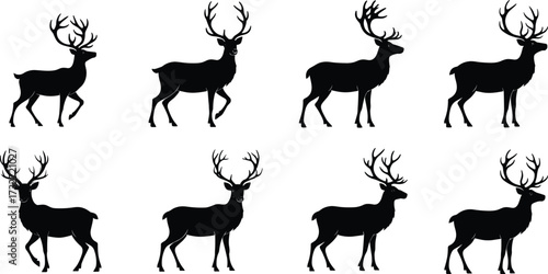 Deer silhouette illustration, stag antler vector, elk wildlife design, reindeer animal graphic, hunting symbol art, forest nature artwork, wild buck pose