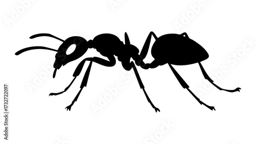 black ant shape silhouette isolated on white background