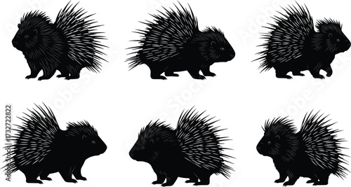 Porcupine silhouette illustration, wild animal vector, spiky quills design, forest rodent art, wildlife symbol graphic, cartoon style drawing, nature mammal