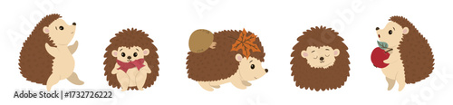 Funny hedgehogs in various poses with birds in a colorful autumn forest, seamless vector pattern with apple and mushroom. Perfect for fall designs and seasonal decorative projects. Isolated on white b