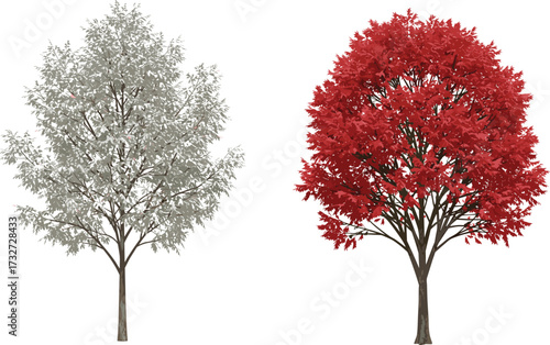 Beautiful red autumn tree and frosty winter tree illustration, seasonal nature design, vibrant foliage, seasonal landscape, decorative botanical artwork, outdoors
