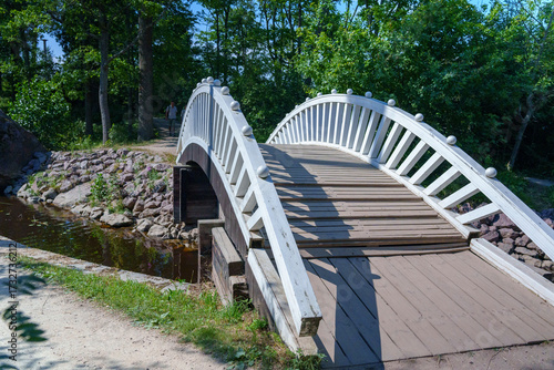 Arched wooden footbridge with white railings in a sunny park