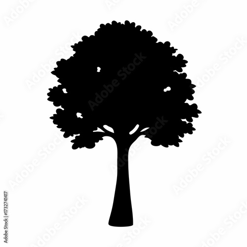 A detailed silhouette of a broadleaf tree against a stark white backdrop