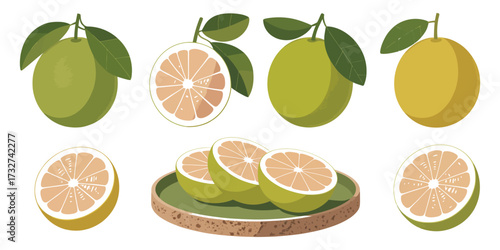 Fresh Pomelo Fruit Halves and Slices on Plates Illustration
