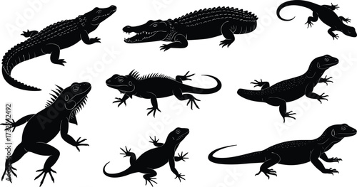 Set of diverse reptile silhouettes including crocodiles, iguanas, and various lizards, showcasing different species for a wildlife and nature concept