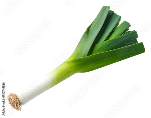 Fresh green leek vegetable isolated on transparent background