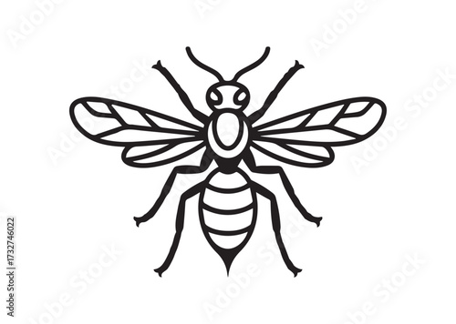 Wasp line art vector