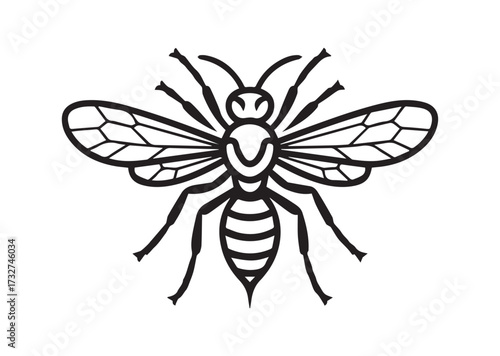 Wasp line art vector