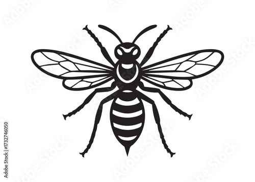 Wasp line art vector