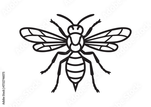 Wasp line art vector