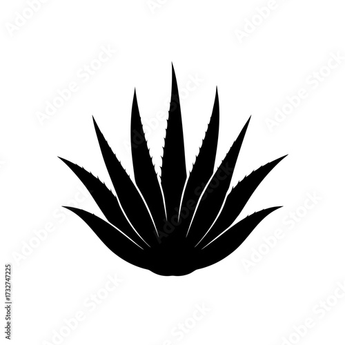 aloe vera icon black silhouette vector illustration on transparent background